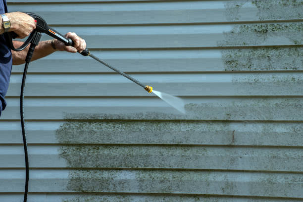 Best Gutter Cleaning and Brightening in Bangs, TX